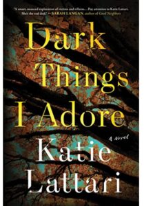 Read more about the article Dark Things I Adore