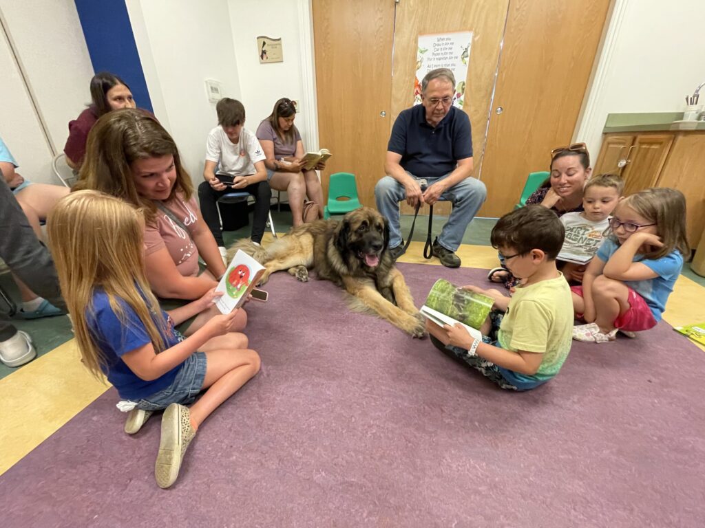 jvbrown volunteer therapy session
