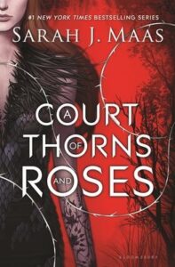 Read more about the article A Court of Thorns and Roses
