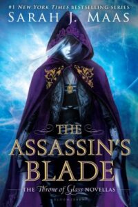 Read more about the article The Assassin’s Blade